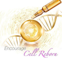 Load image into Gallery viewer, Ageless Revitalizing Ampoule Serum