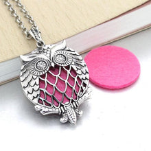 Load image into Gallery viewer, Essential Oil / Perfume Diffusing Locket Necklace