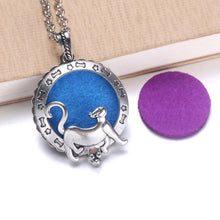 Load image into Gallery viewer, Essential Oil / Perfume Diffusing Locket Necklace