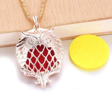 Load image into Gallery viewer, Essential Oil / Perfume Diffusing Locket Necklace
